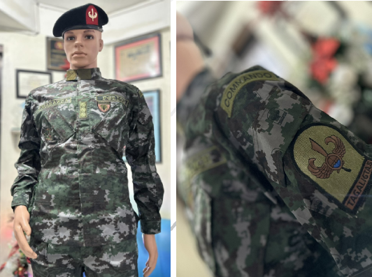 PNP SAF PIXELIZED